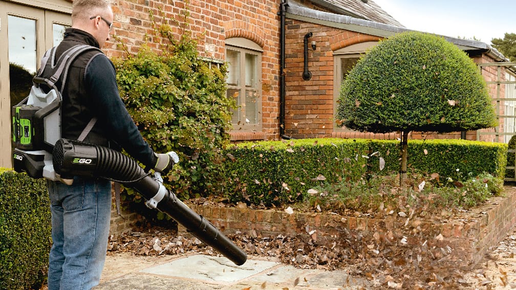 Soffiatore Ego Power, quale scegliere?