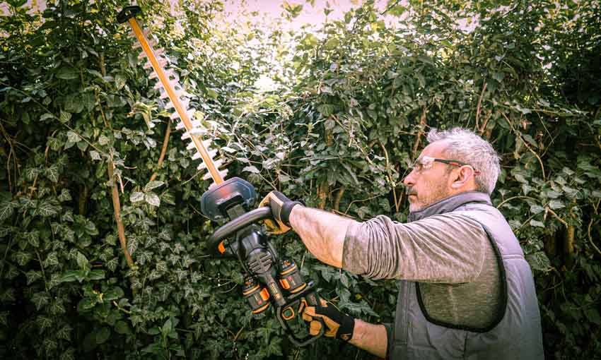 Tagliasiepi batteria Worx WG286E 40Volt Worx con Batterie e Caricabatterie