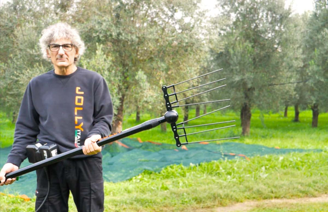 Abbacchiatore Elettrico Olive Jolly Sfera con Asta Telescopica 208/297 | Alimentazione Batteria Auto