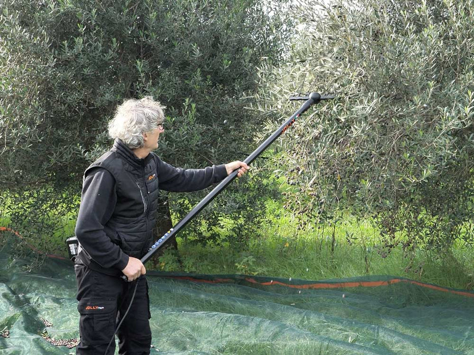 Abbacchiatore Elettrico Olive Jolly Sfera con Asta Telescopica 208/297 | Batterie litio kit 4x9Ah