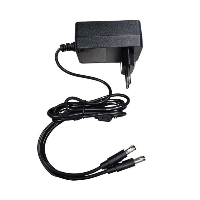 Caricabatteria Archman 21Volt 4Ah - 2 jack
