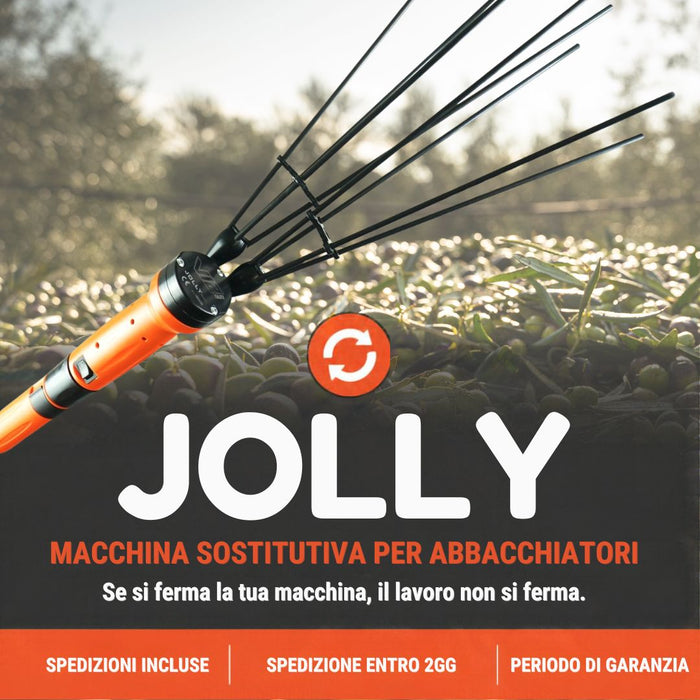 Servizio Abbacchiatore Sostitutivo Jolly